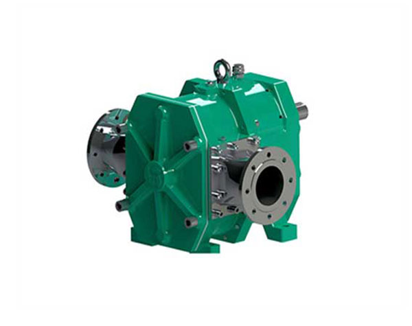 詳細講解（jiě）轉子泵的優點有哪些