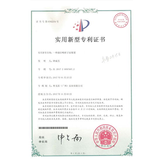 一種強自吸轉子泵裝置（91视频app）