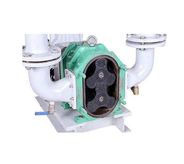 石油石化用轉（zhuǎn）子（zǐ）泵