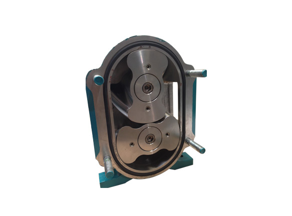 不鏽鋼轉子泵是為了適應特殊需要（yào）而生（shēng）