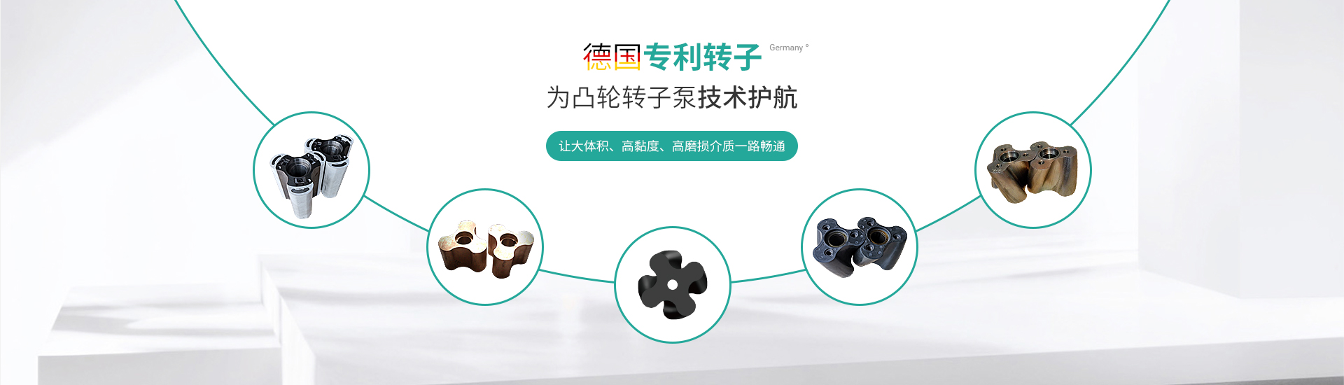 德國專利（lì）轉子（zǐ）為凸輪轉（zhuǎn）子（zǐ）泵技術（shù）護航