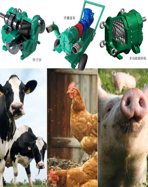 豬糞泵生產廠家（jiā）要如（rú）何選擇?詳細講解!